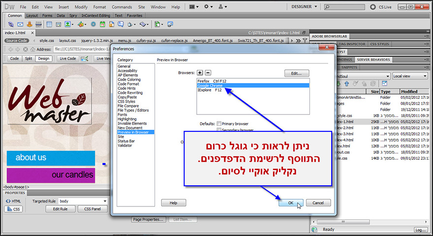 הצגת האתר בדפדפנים השונים 5