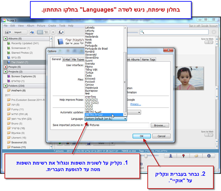 פיקסה בעברית Picasa 2